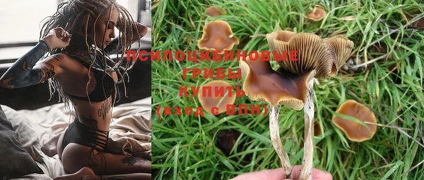 герыч Абаза