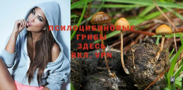 a pvp Алзамай
