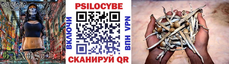 Галлюциногенные грибы Cubensis мориарти состав Дыгулыбгей